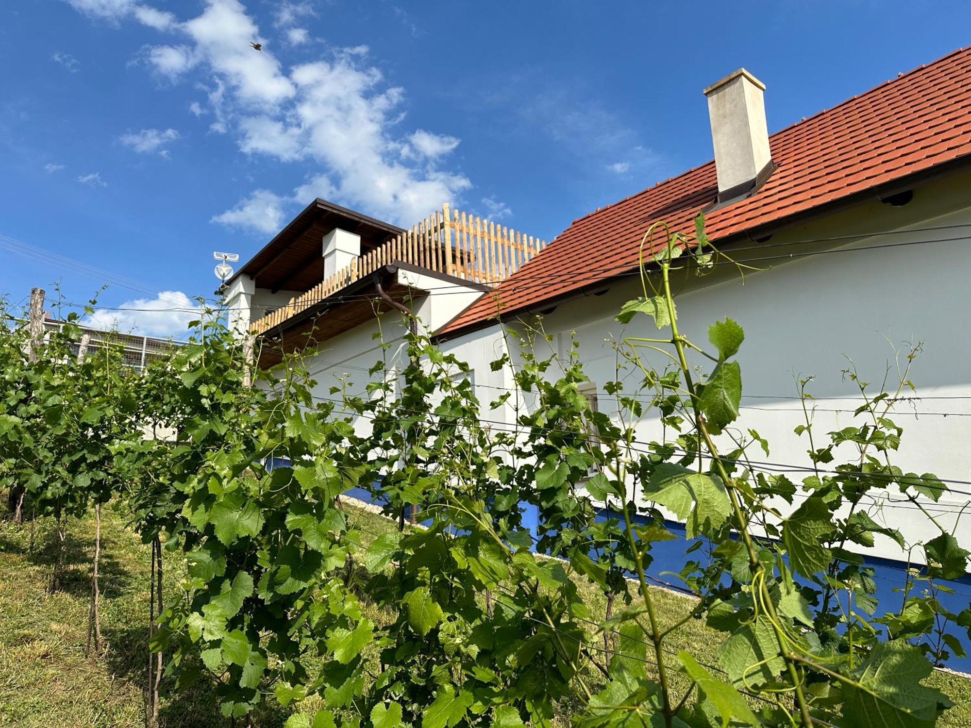Nad Slovackym Sklipkem Villa Tupesy Екстериор снимка